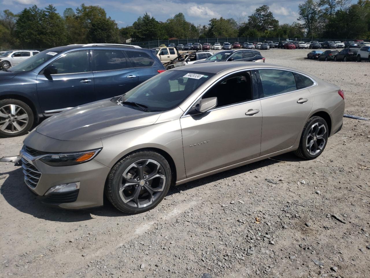 CHEVROLET MALIBU LT 2022