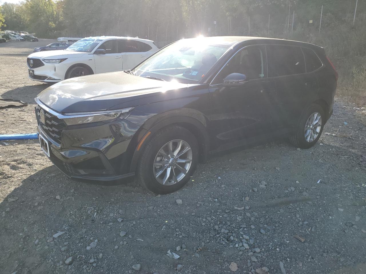 HONDA CR-V EXL 2025