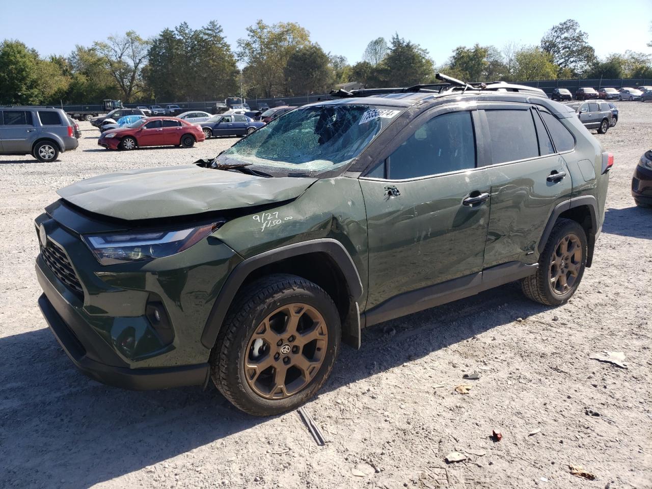 TOYOTA RAV4 WOODL 2024