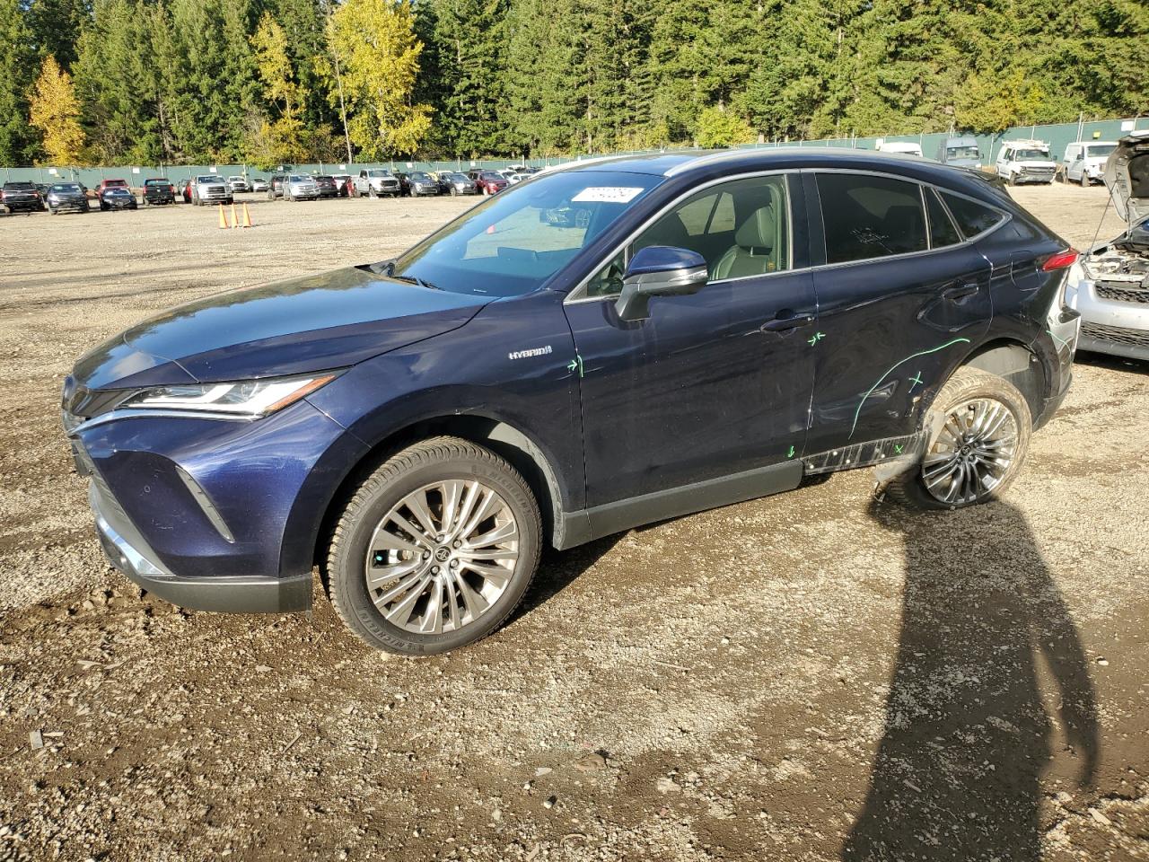 TOYOTA VENZA LE 2021
