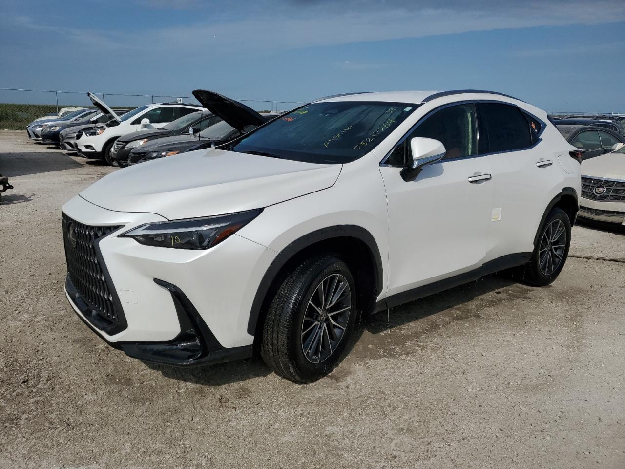 Lexus Nx 250 2022