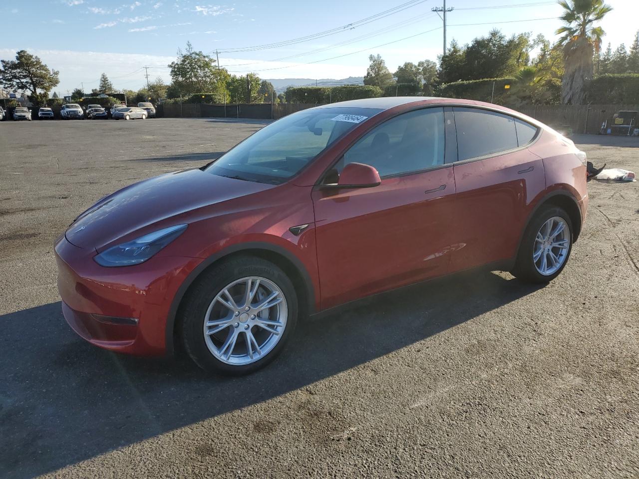 TESLA MODEL Y 2024