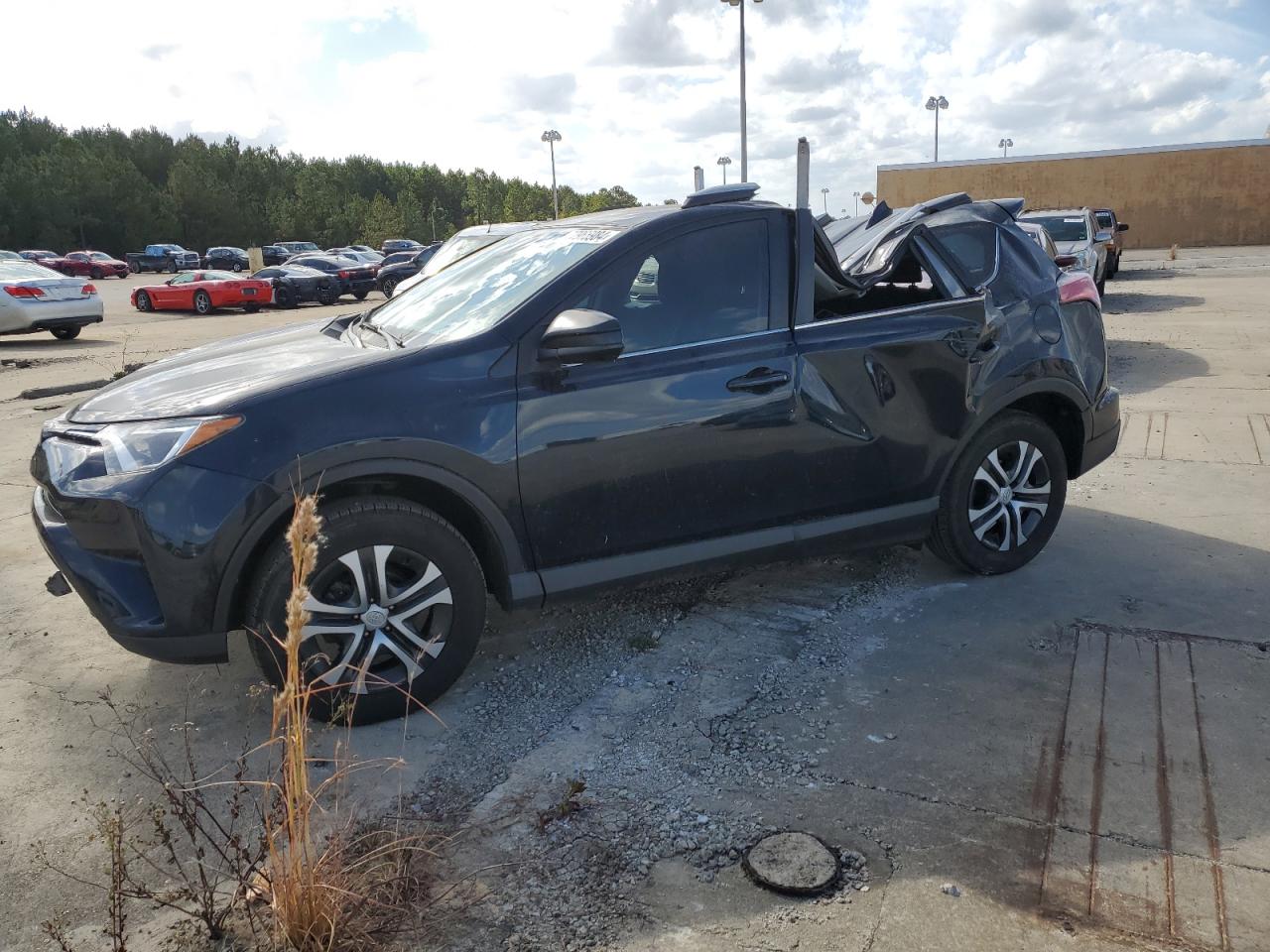 TOYOTA RAV4 LE 2017