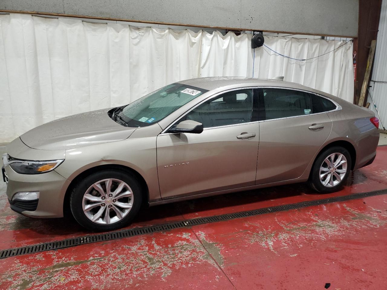 CHEVROLET MALIBU LT 2023