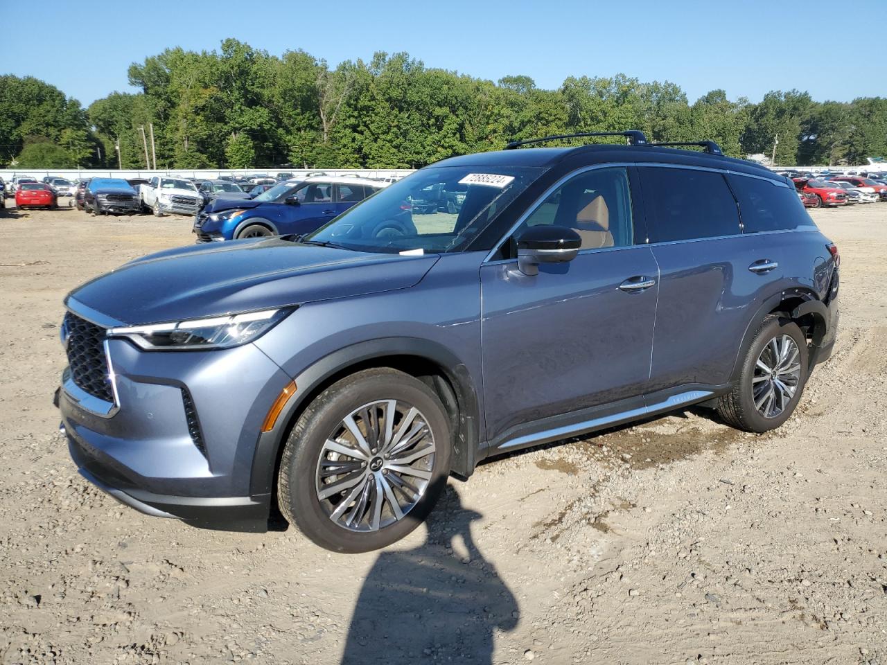 INFINITI QX60 AUTOG 2024