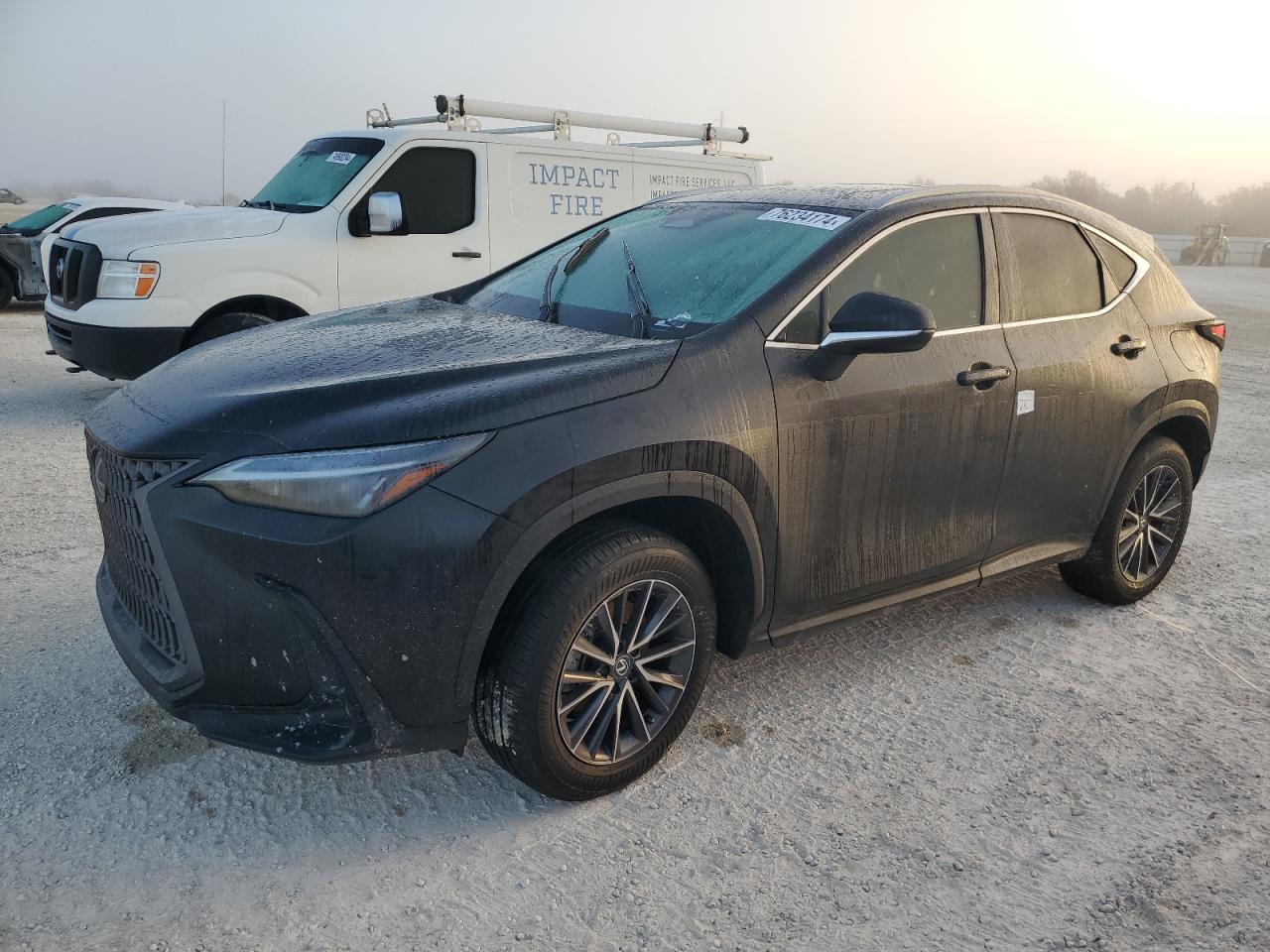 Lexus Nx 250 2024