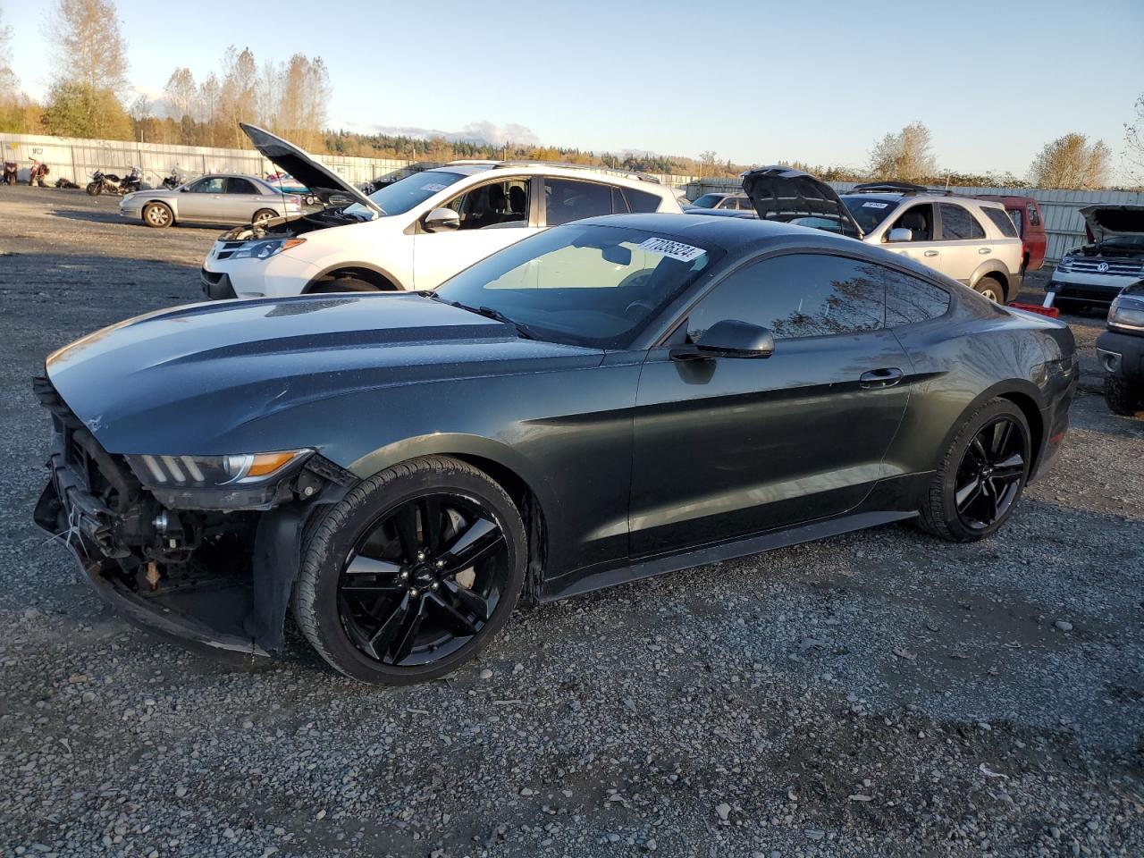 FORD MUSTANG 2015