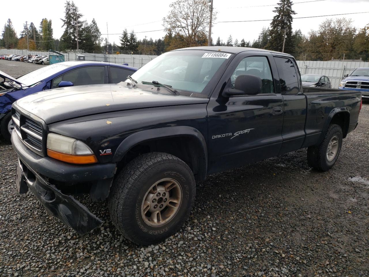 DODGE DAKOTA 2000