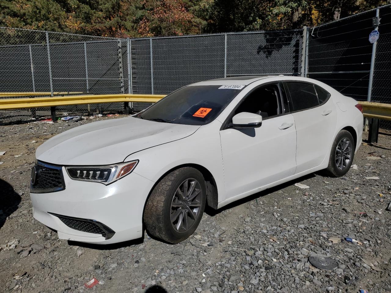 ACURA TLX TECHNO 2020