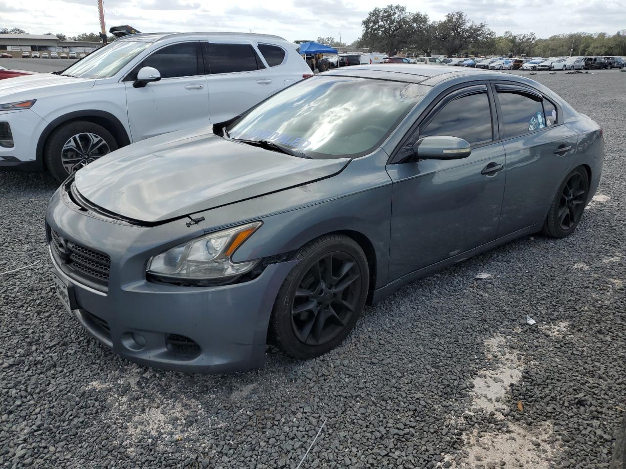 NISSAN MAXIMA S 2010