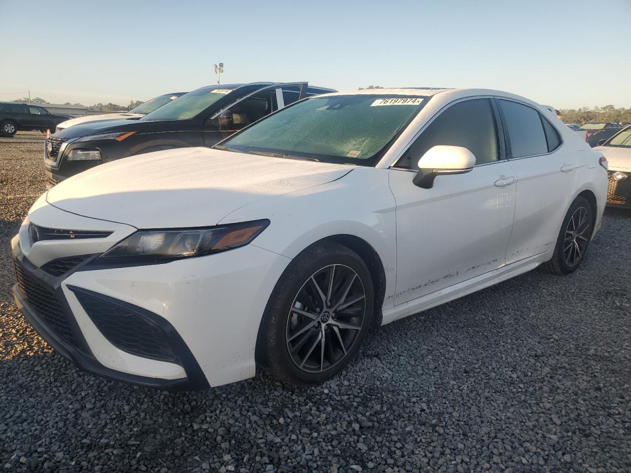 TOYOTA CAMRY SE N 2024