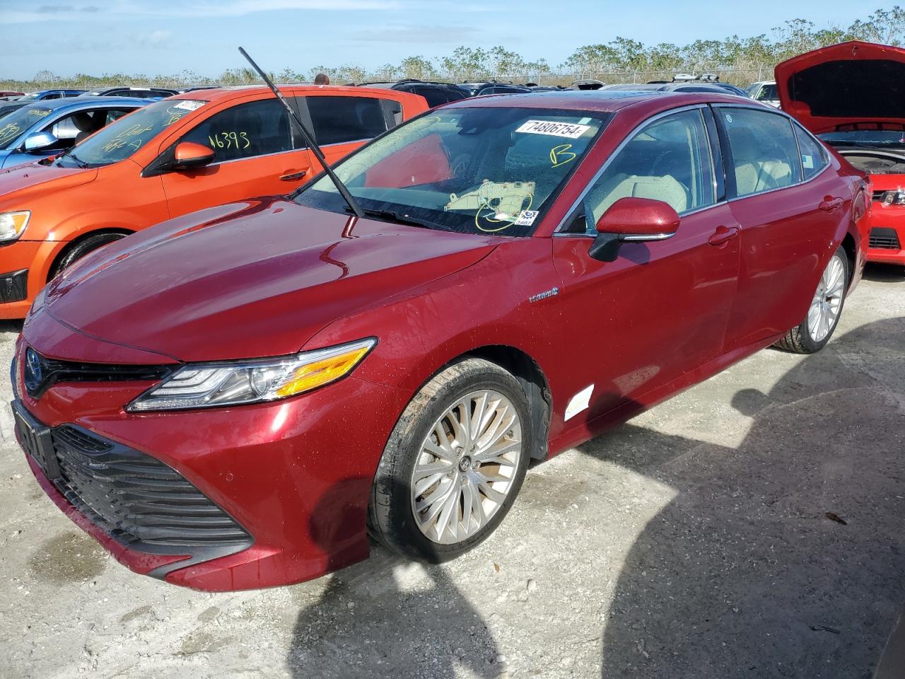 TOYOTA CAMRY HYBR 2019