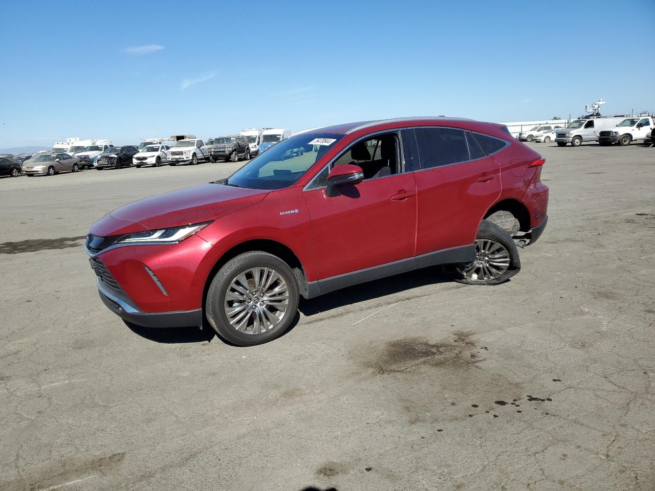 TOYOTA VENZA LE 2021