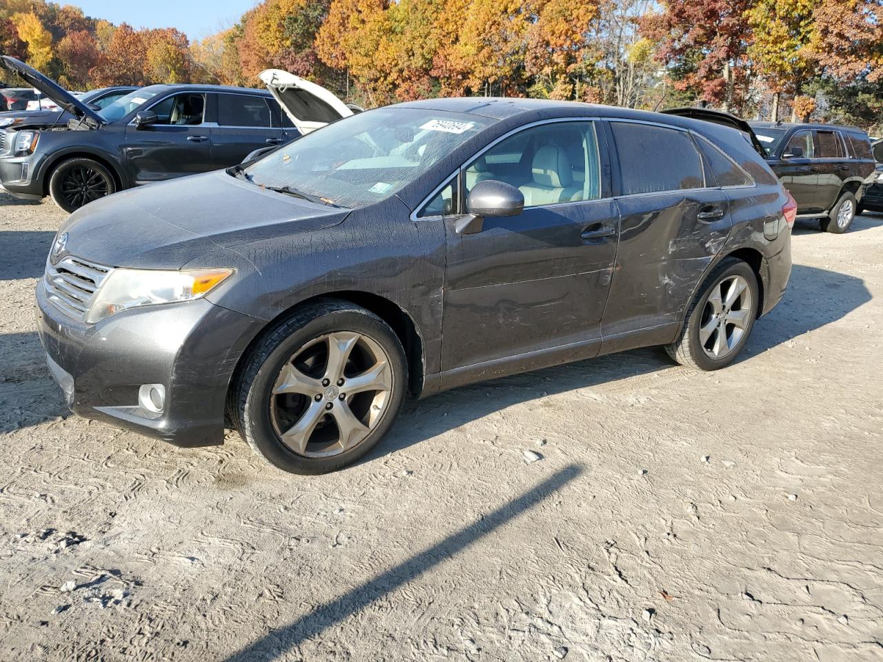 TOYOTA VENZA 2009