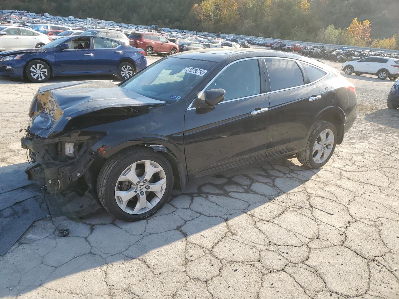 HONDA CROSSTOUR 2012
