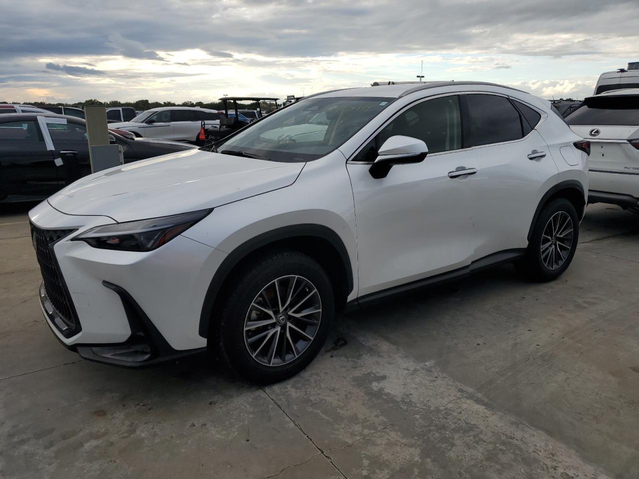 Lexus Nx 250 2023