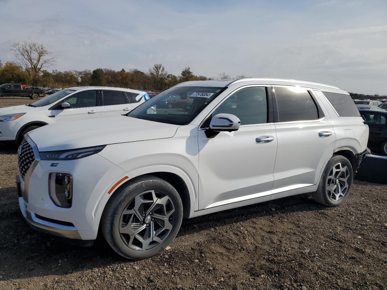 HYUNDAI PALISADE C 2021