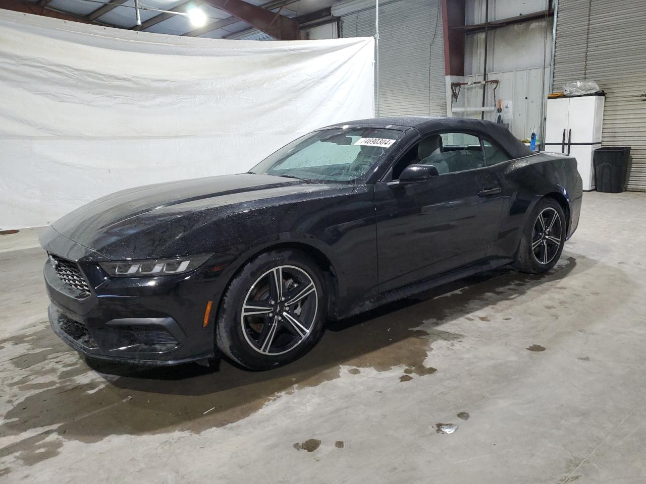 FORD MUSTANG 2024
