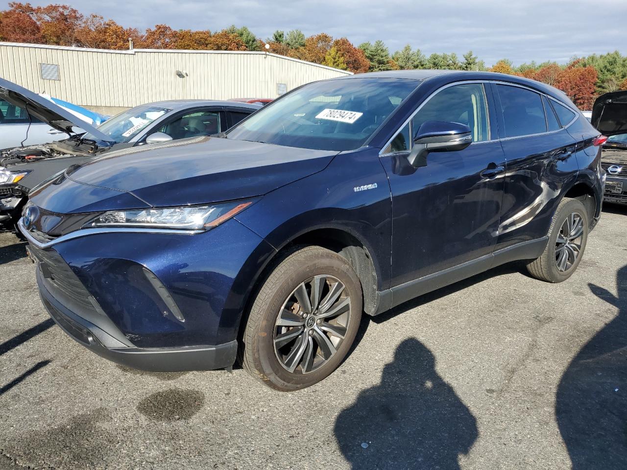 TOYOTA VENZA LE 2021