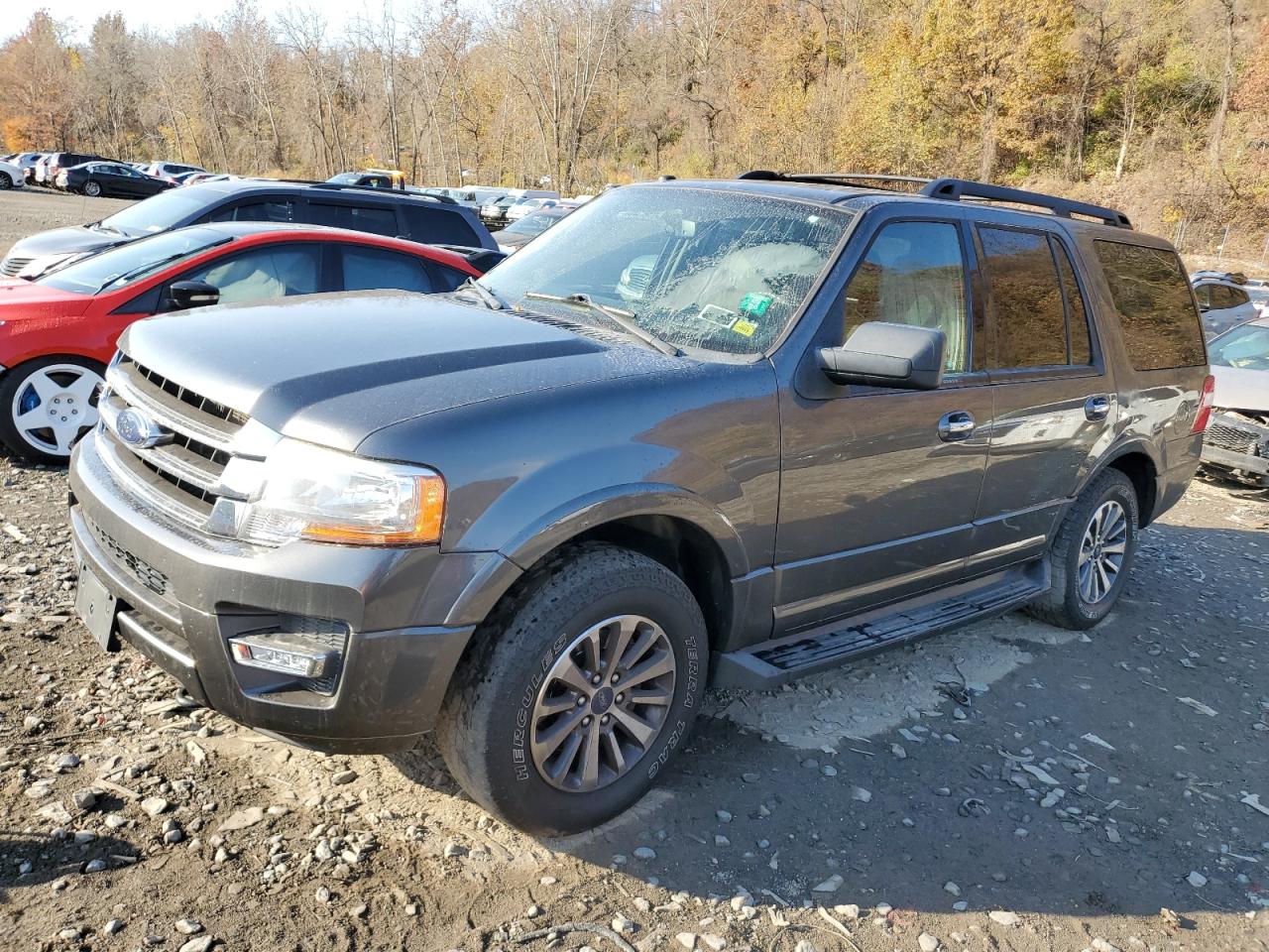 FORD EXPEDITION 2017