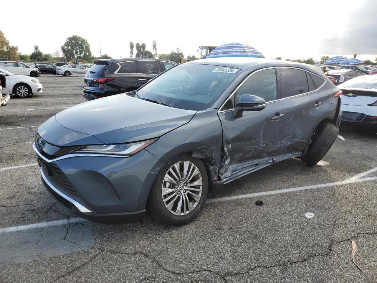 TOYOTA VENZA LE 2024