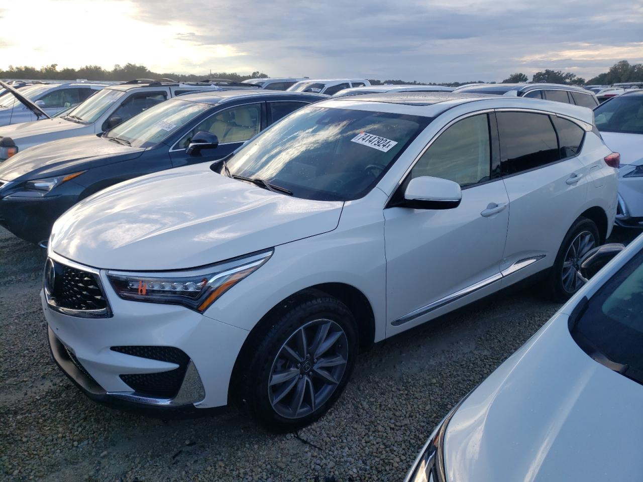 ACURA RDX TECHNO 2019
