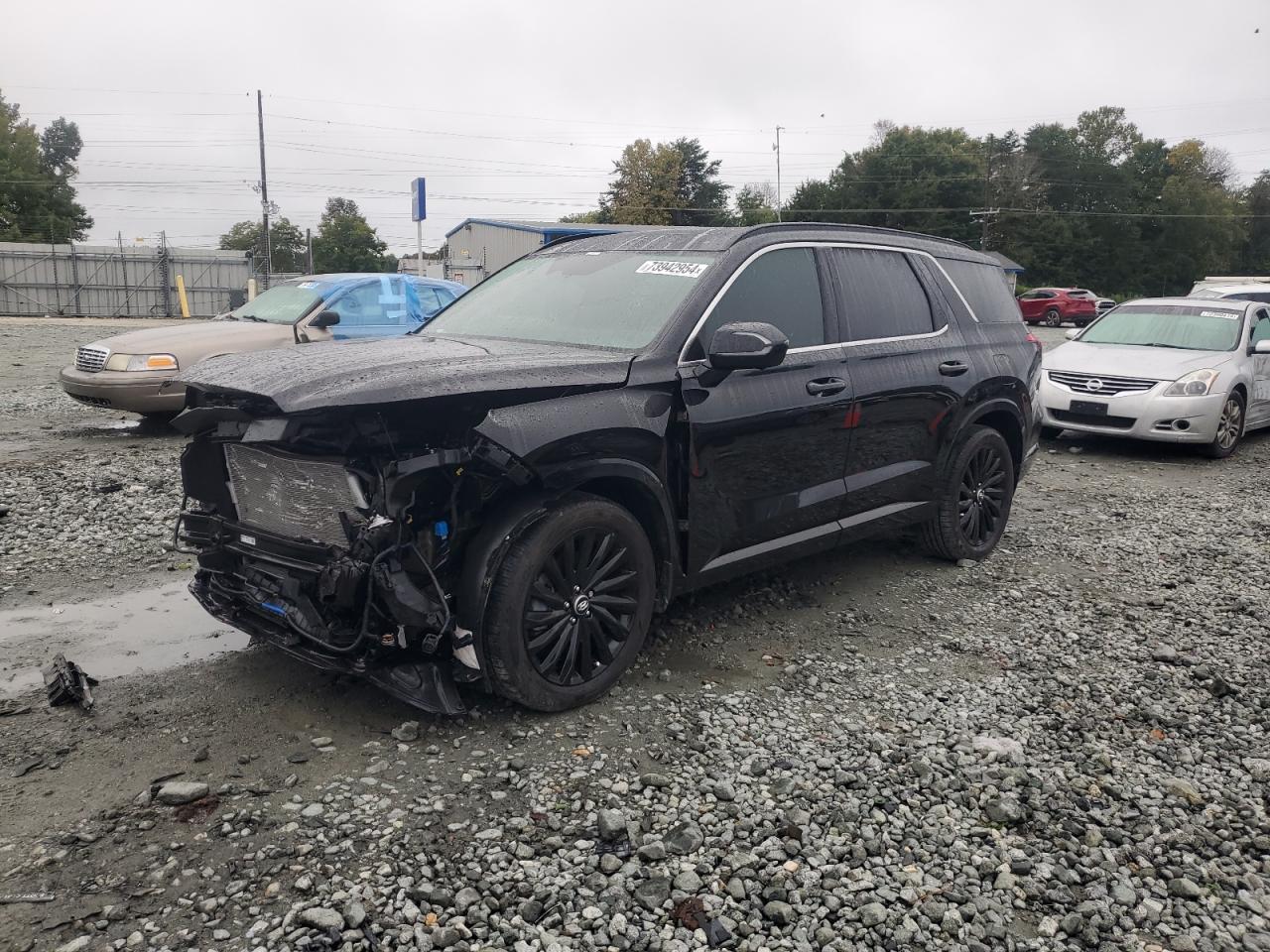HYUNDAI PALISADE C 2024
