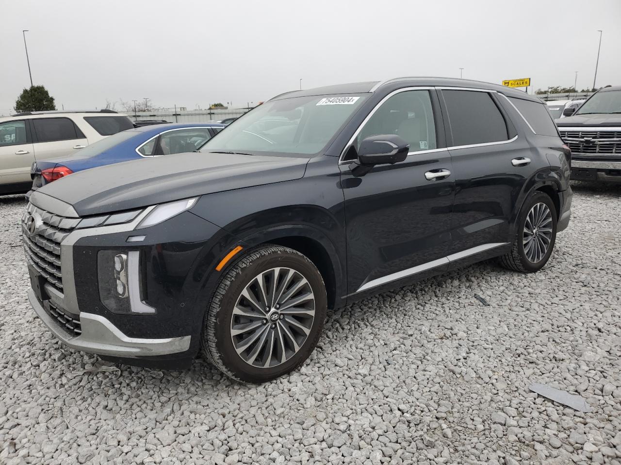HYUNDAI PALISADE C 2024