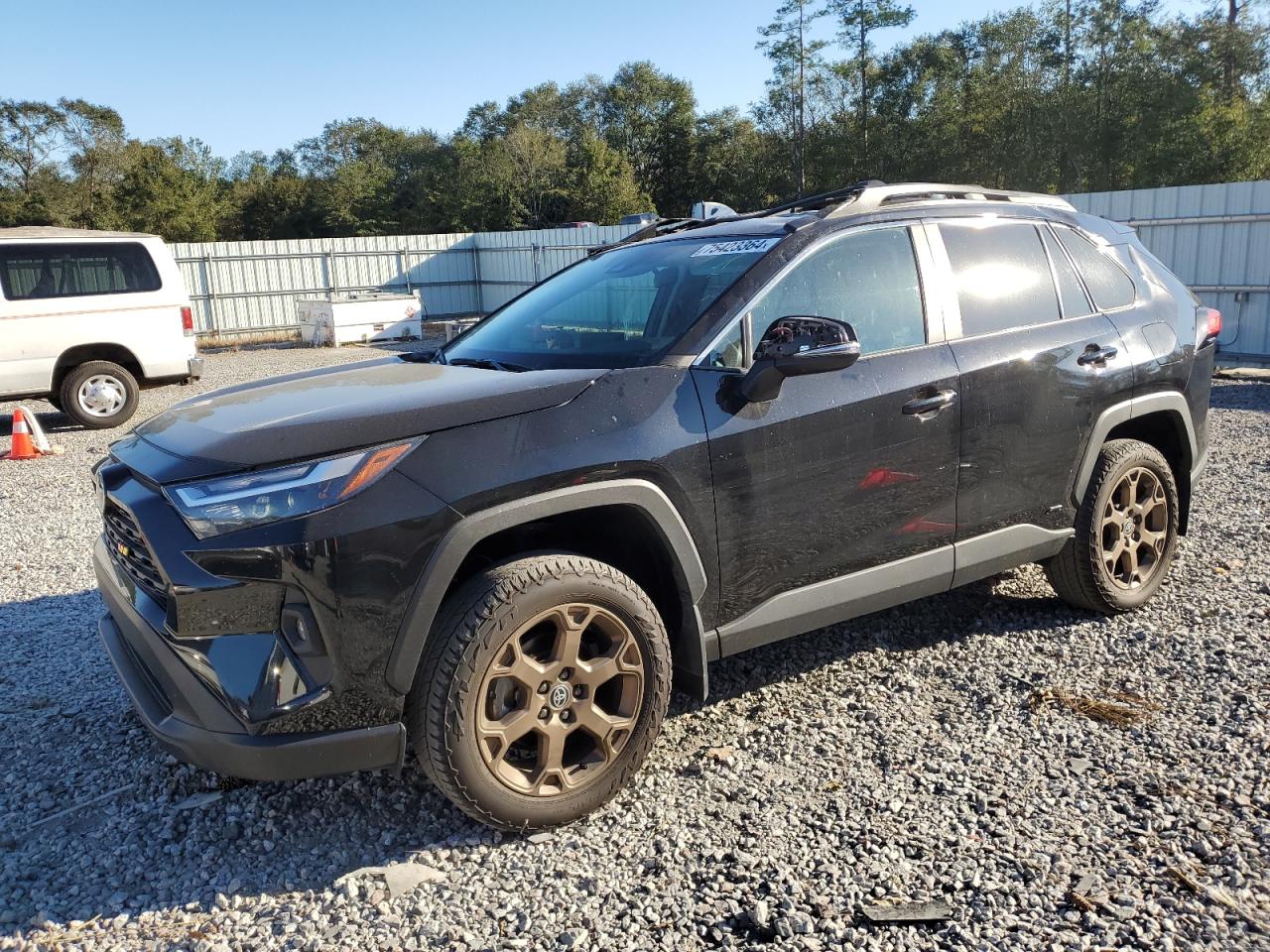 TOYOTA RAV4 WOODL 2023