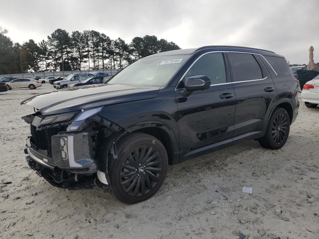 HYUNDAI PALISADE C 2024