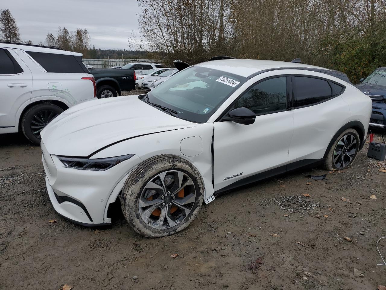 FORD MUSTANG MA 2024