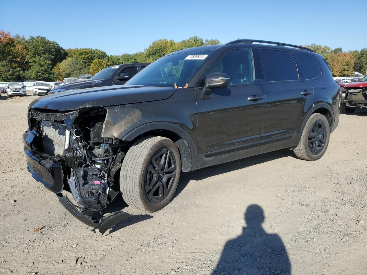 KIA TELLURIDE 2024