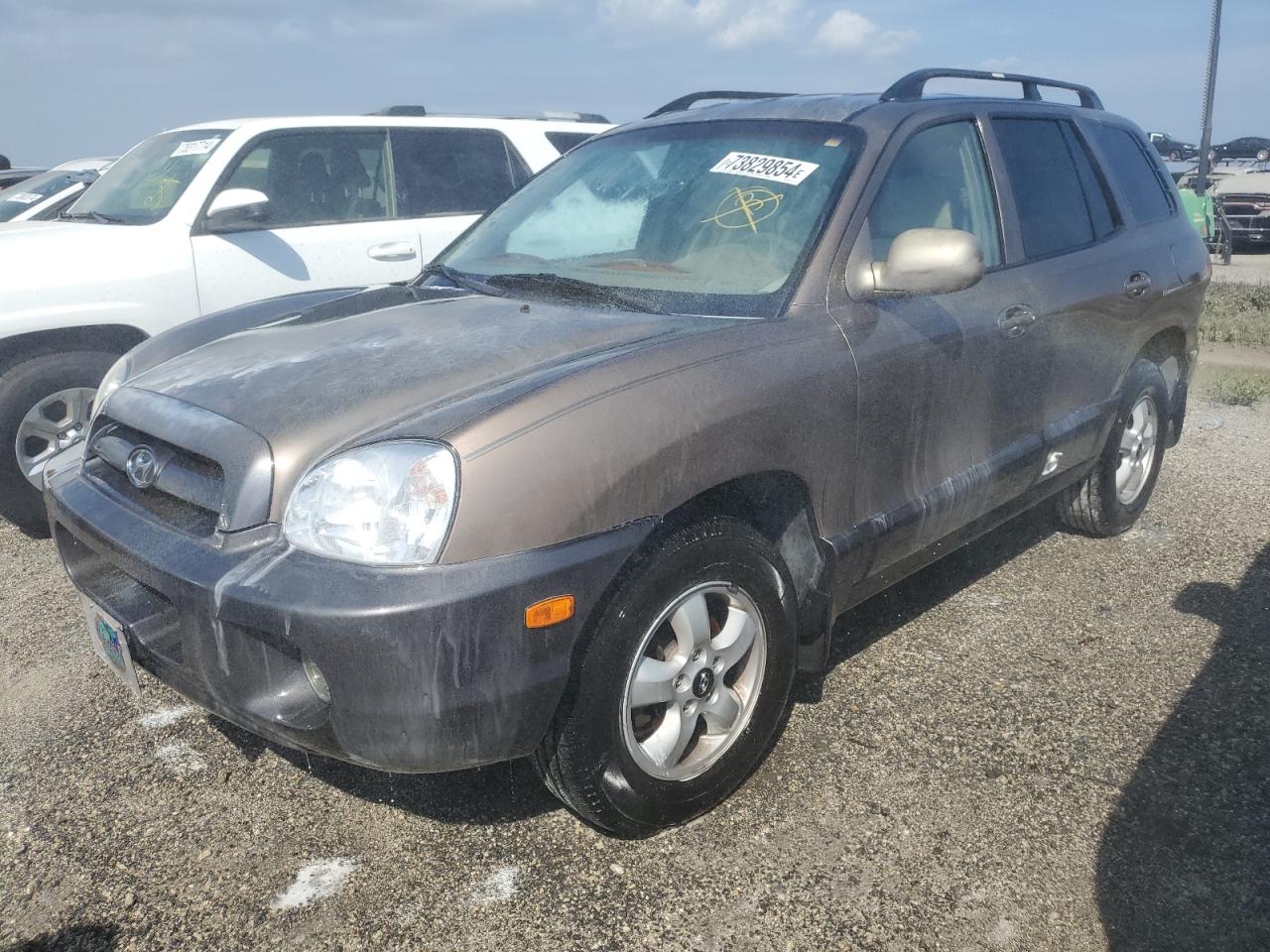 HYUNDAI SANTA FE G 2005