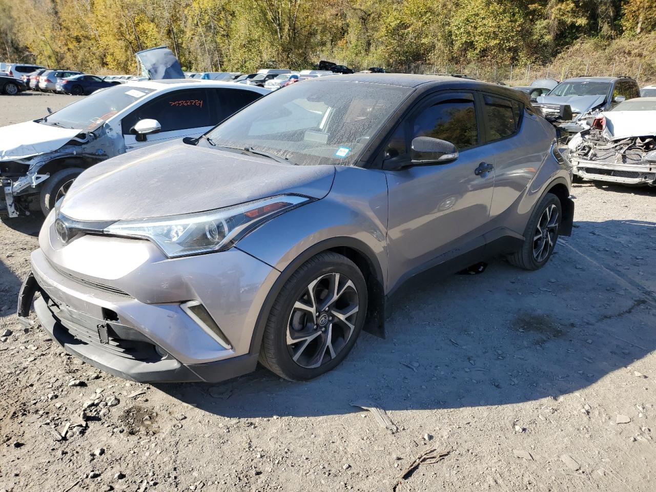 TOYOTA C-HR XLE 2019