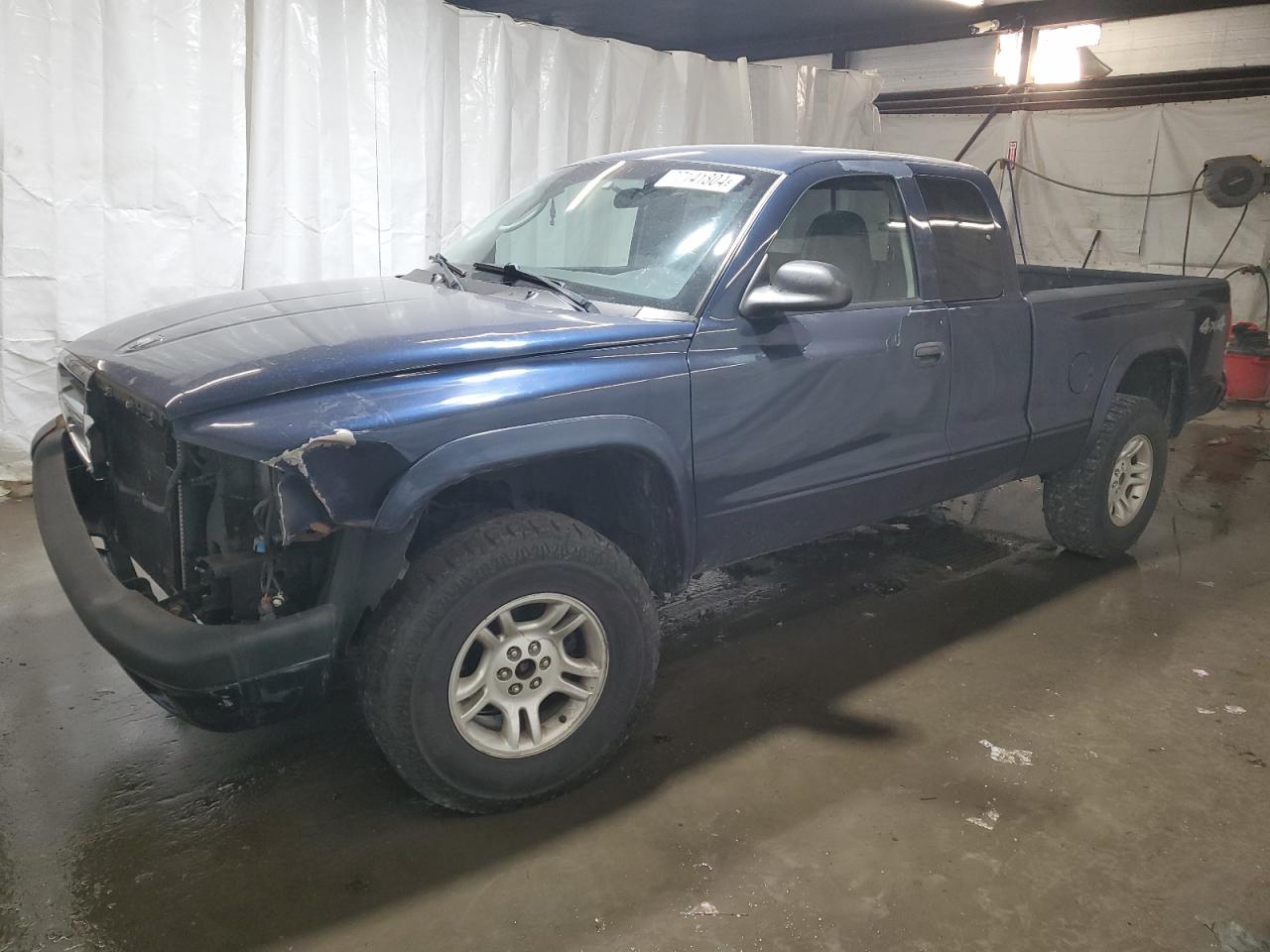 DODGE DAKOTA 2004