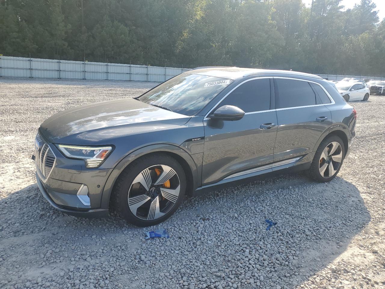 AUDI E-TRON CHR 2019