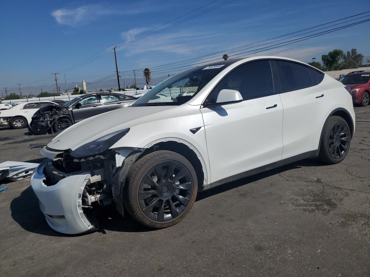 TESLA MODEL Y 2024