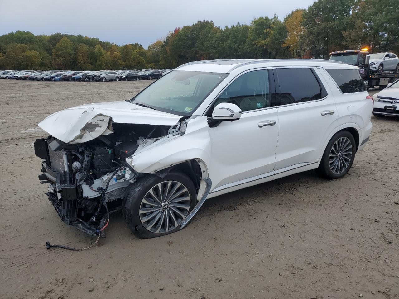 HYUNDAI PALISADE C 2024