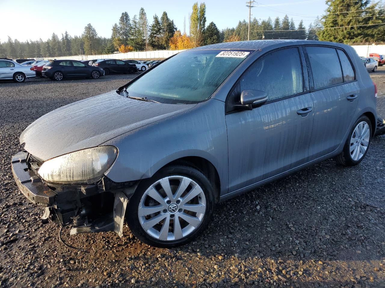 VOLKSWAGEN GOLF 2013