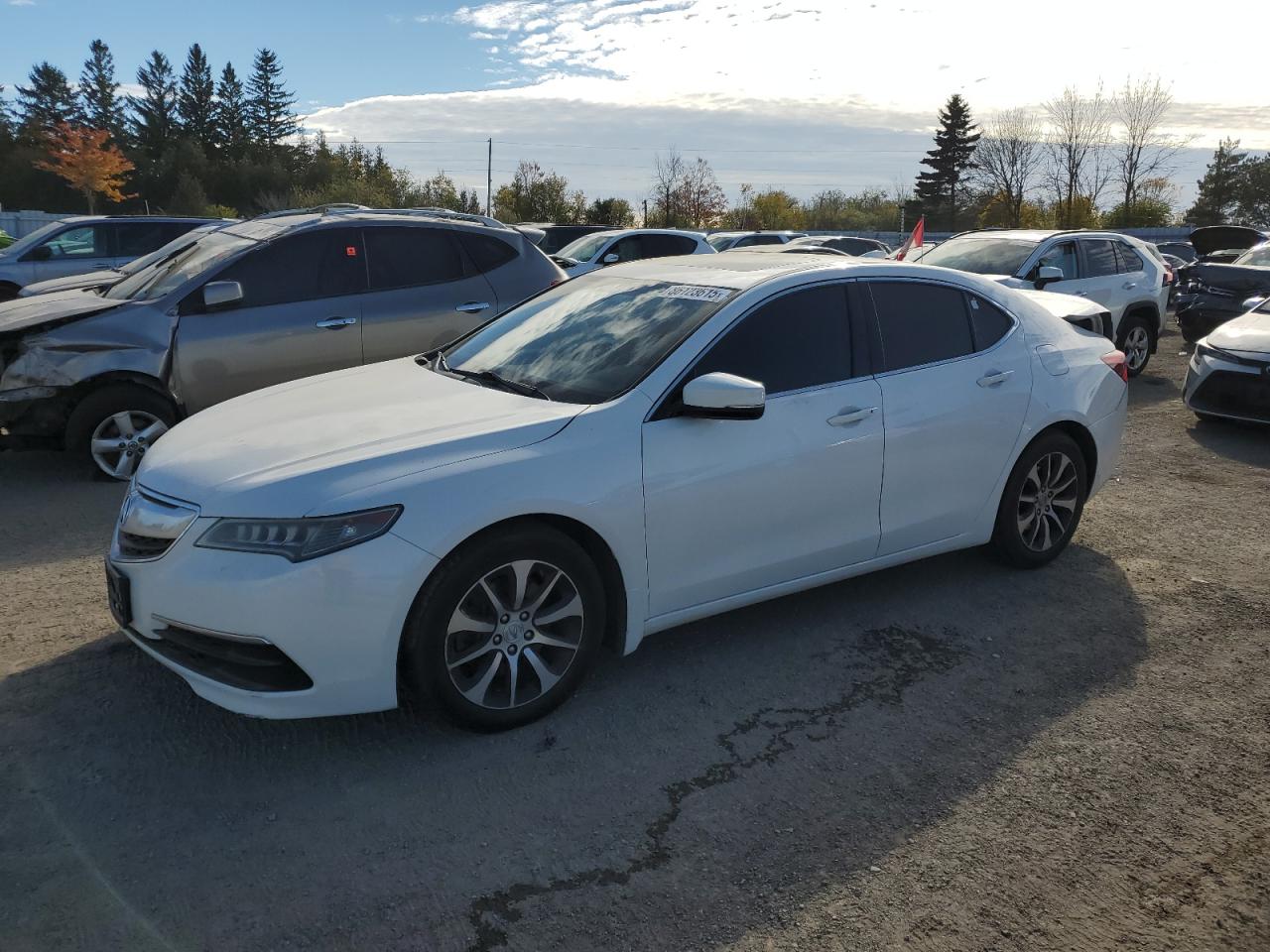 ACURA TLX 2015