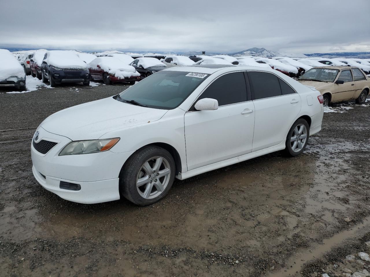 TOYOTA CAMRY LE 2008