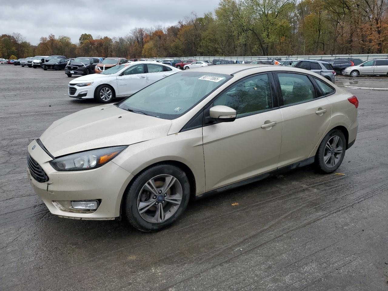 FORD FOCUS SE 2017