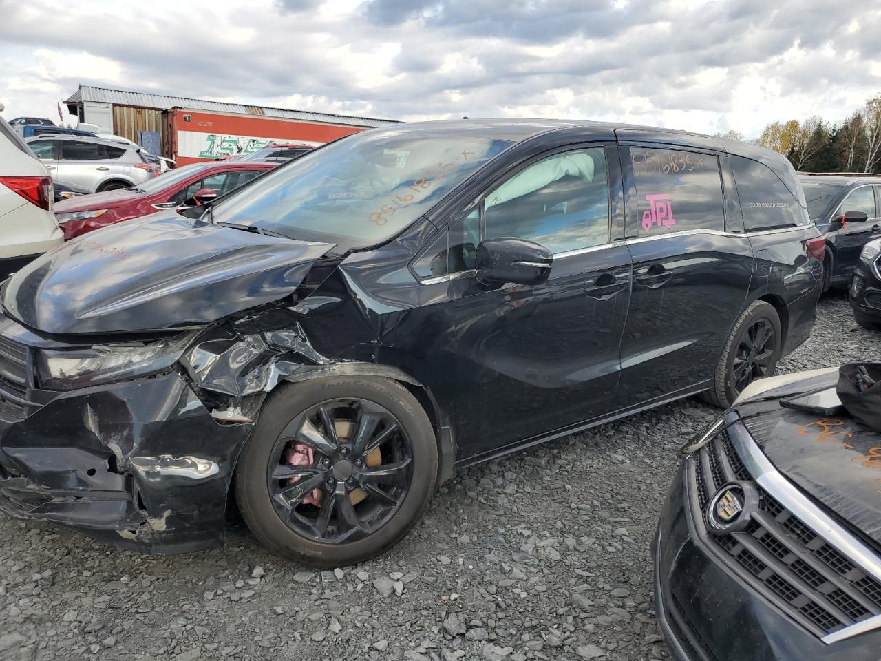 HONDA ODYSSEY 2023