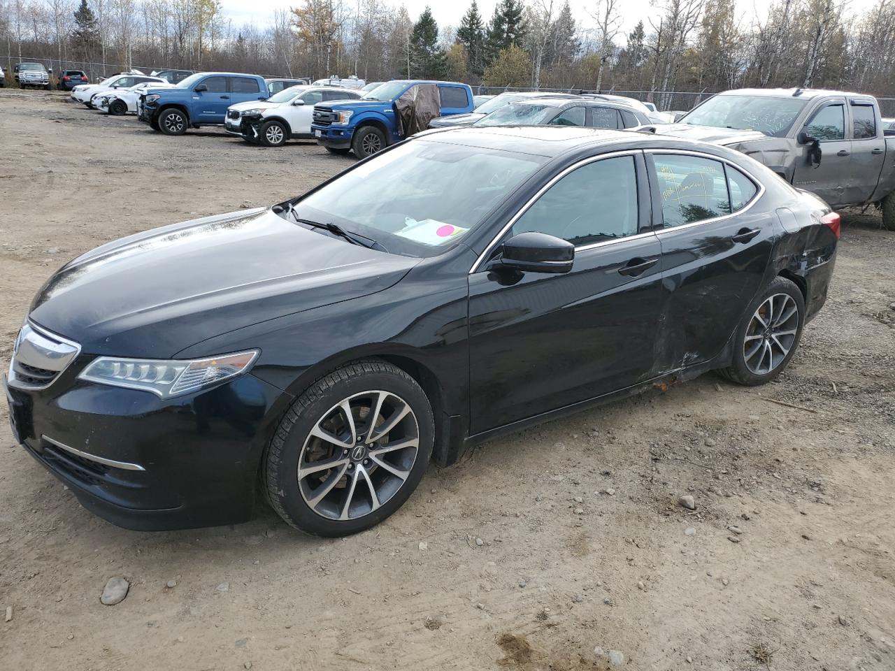 ACURA TLX 2015