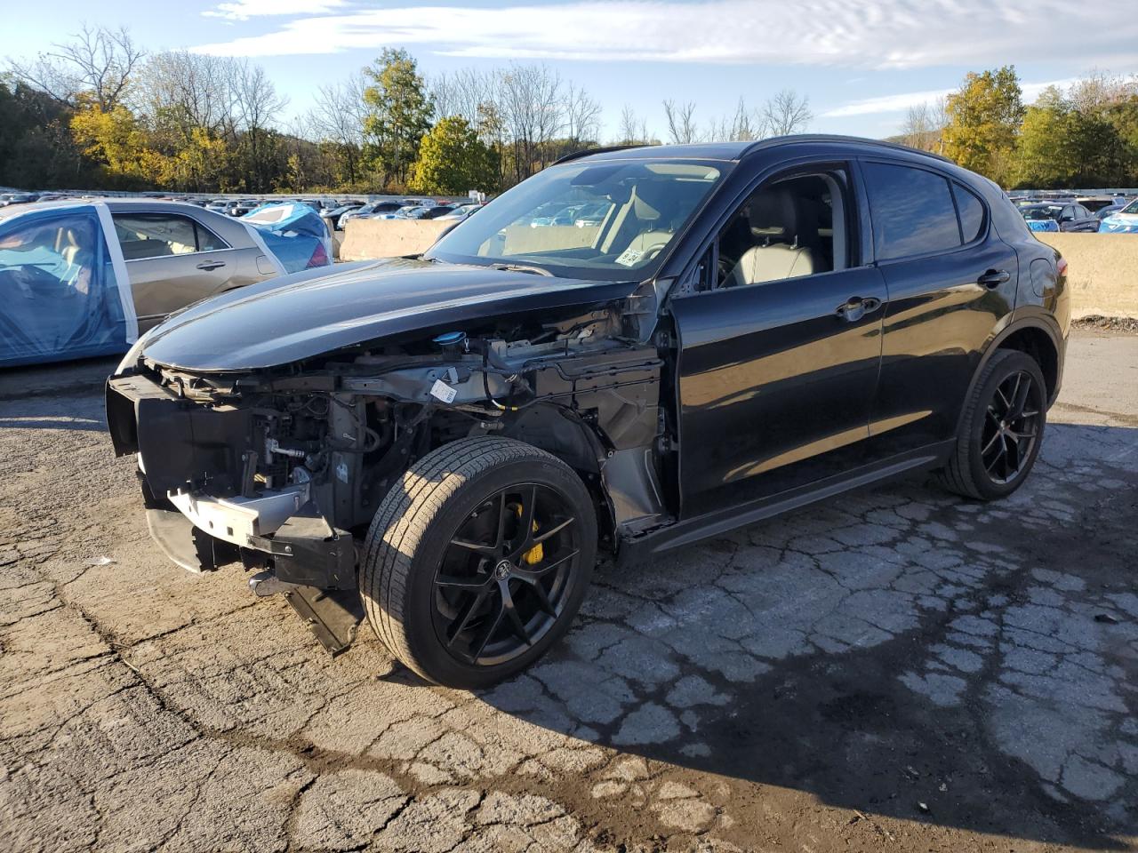 ALFA ROMEO STELVIO 2019