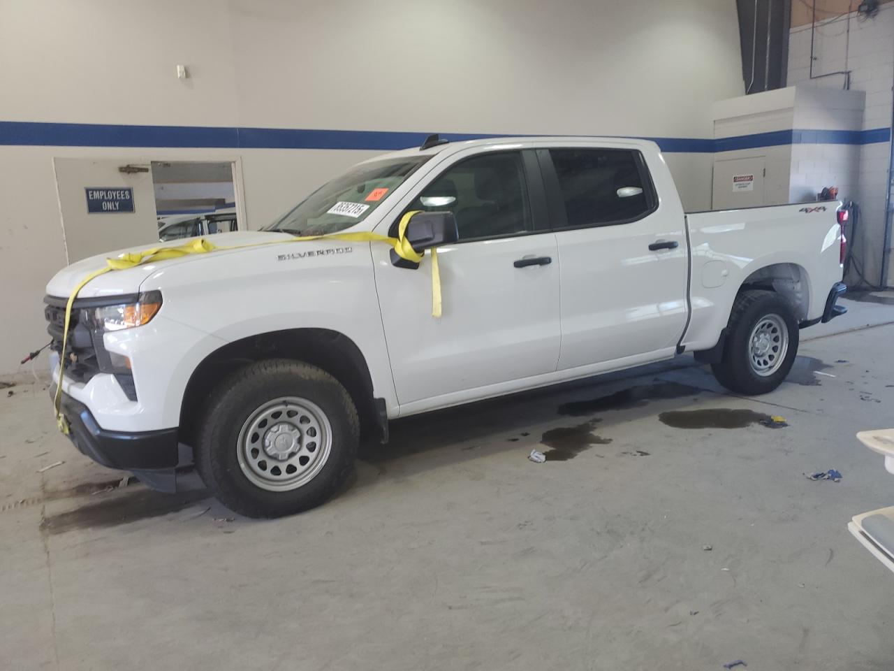 CHEVROLET SILVERADO K1500 2024