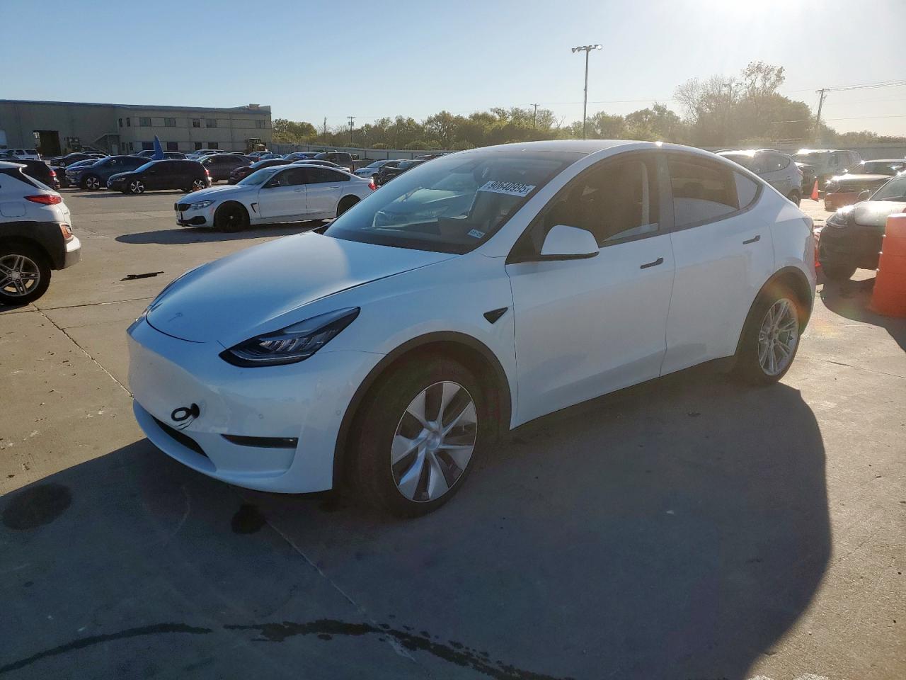 TESLA MODEL Y 2021
