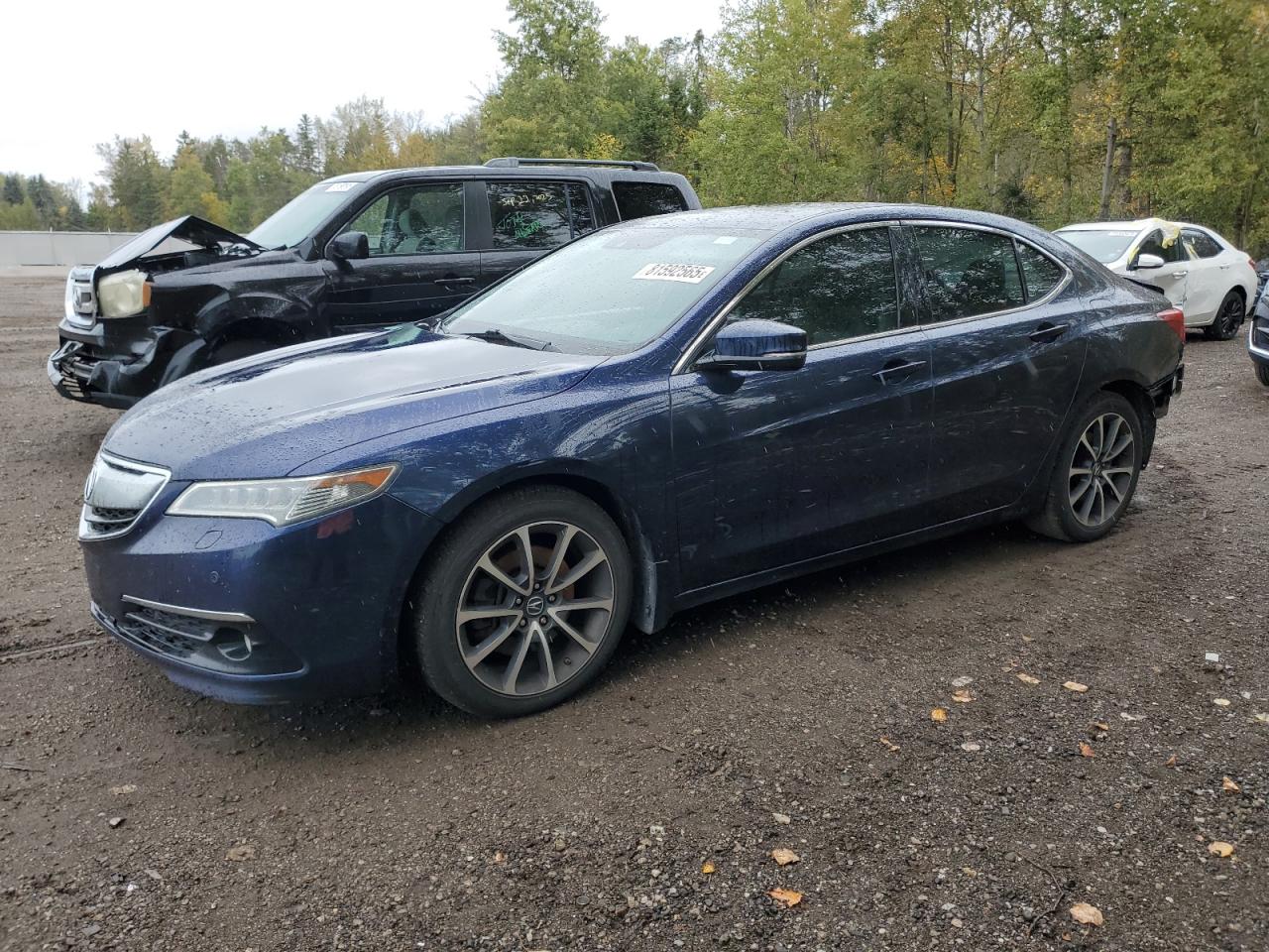 ACURA TLX ADVANC 2015