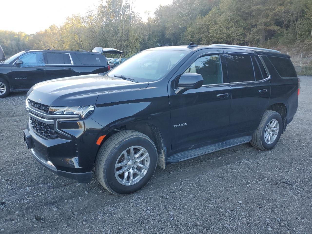 CHEVROLET TAHOE 2021