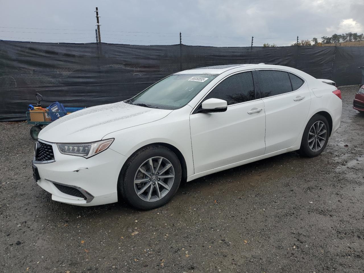 ACURA TLX TECHNO 2019